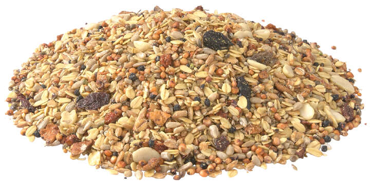 TIERLIEBE Wildvogelmenü mit Beeren und Früchten